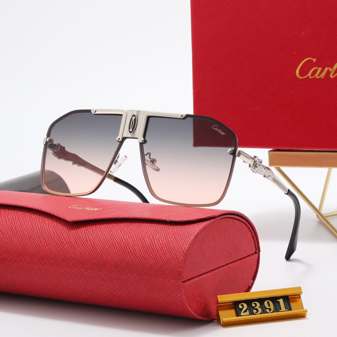 Cartier sunglasses-C5905S